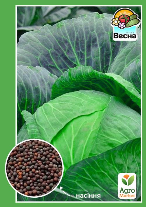 Капуста "Каменная голова" ТМ "Весна" 0.5г