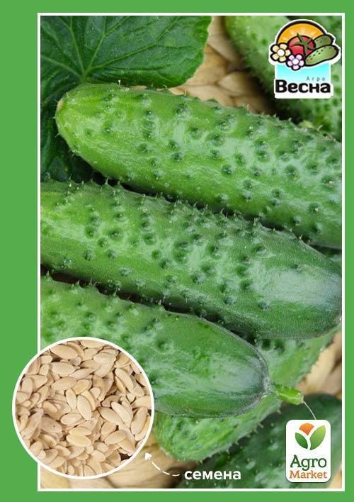 Огірок "Подарунок осені" ТМ "Весна" 0.5г