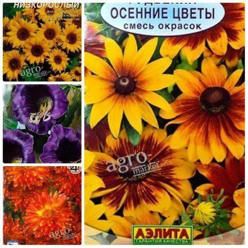 Комплект насіння квітів "Бездоганна краса" 5уп