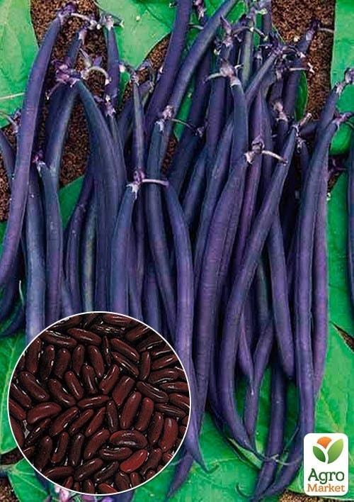 На развес Фасоль Блаухильде ТМ "Весна" цена за 5г