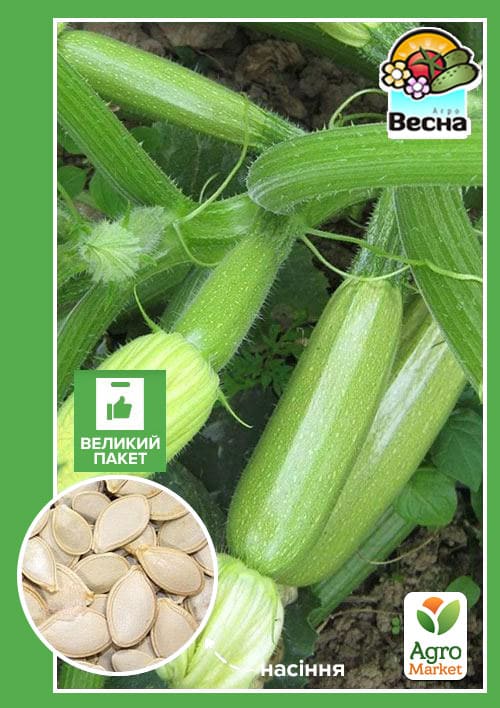 Кабачок "Чаклун" (Великий пакет) ТМ "Весна" 4г