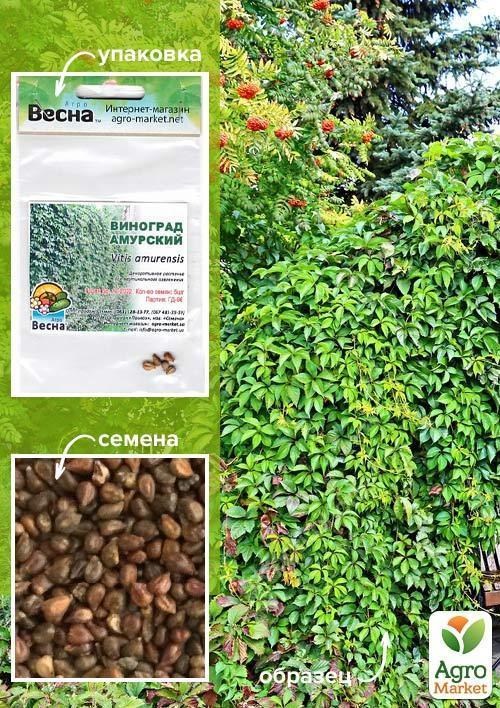 Виноград "Амурский" (Зипер) ТМ "Весна" 5шт