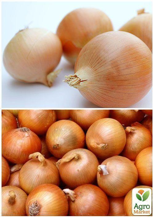 На вагу Цибуля "Фермер" ТМ "Весна" ціна за 5г - фото 2