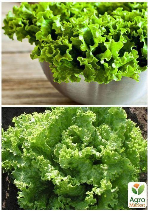 На вагу Салат "Сніжинка" ТМ "Весна" ціна за 5г - фото 4