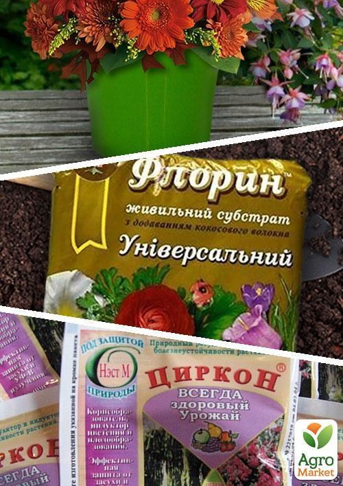 Комплект для вигонки цибулин "Магія квітів"