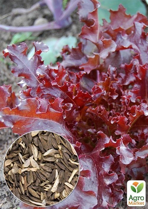 На вагу Салат "Малинова куля" ТМ "Весна" ціна за 5г