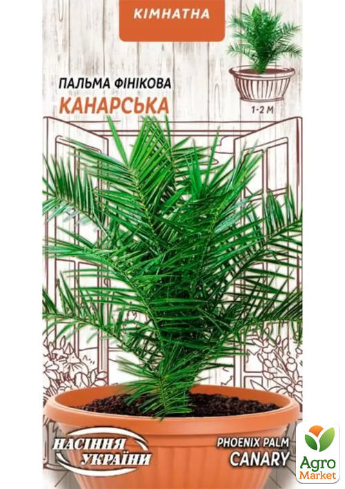 Пальма фінікова "Канарська" ТМ "Насіння України" 2г (2шт)
