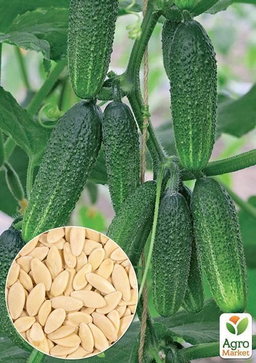 На вагу Огірок "Хрусткий" ТМ "Весна" ціна за 5г