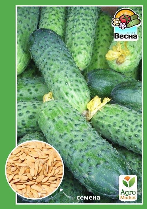 Огурец "Разбойник F1" (Новый пакет) ТМ "Весна" 0.25г
