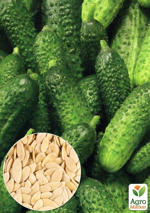 На вагу Огірок "Паризький корнішон" ТМ "Весна" ціна за 5г