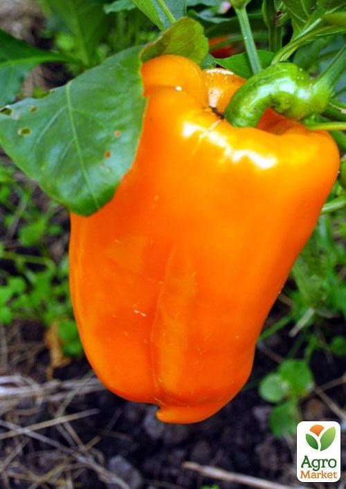 Перец " Золотой телец "ТМ "Vesna Select" 20шт