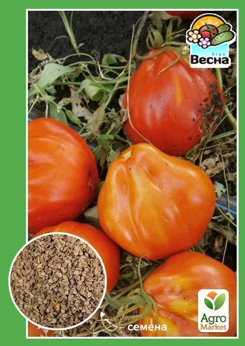 Томат "Пузата-хата" (Новый пакет) ТМ "Весна" 0.1г
