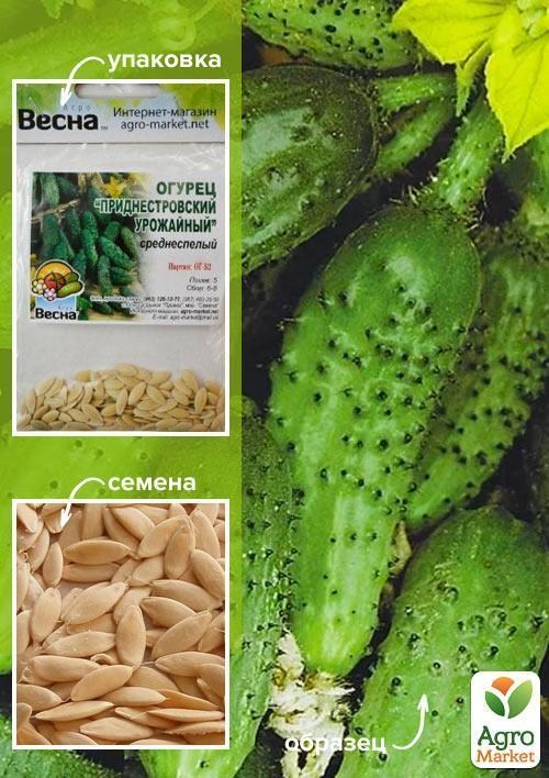Огурец "Приднестровский урожайный" (Зипер) ТМ "Весна" 2г