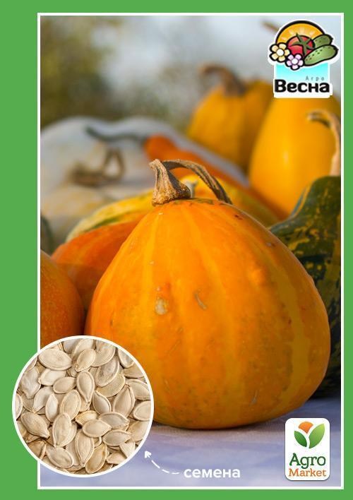 Гарбуз "Гілея" ТМ "Весна" 2г