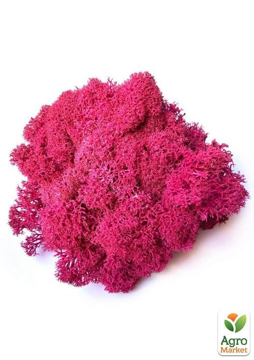 Норвезький мох стабілізований "Фуксія" 150 г