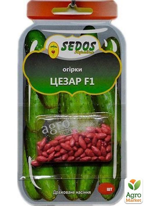 Огірок дражований "Цезар F1" ТМ "SEDOS" 30шт