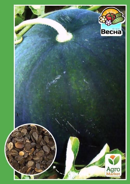Арбуз "Северное сияние" ТМ "Весна" 1.5г