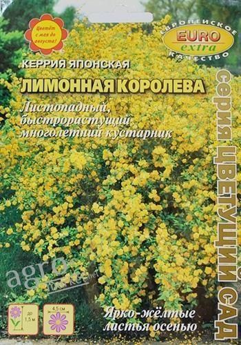 Керрі японська "Лимонна королева" ТМ "Аеліта" 0.1г