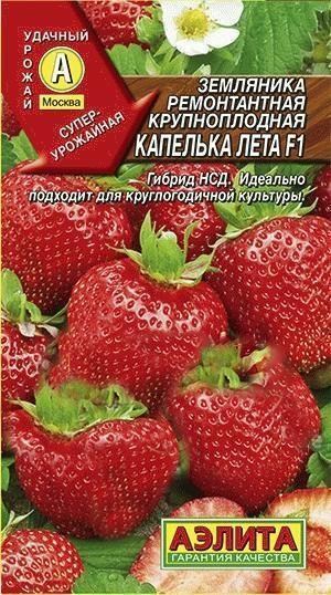 Суниця ремонтантна великоплідна "Капелька літа F1" ТМ "Аеліта" 10шт