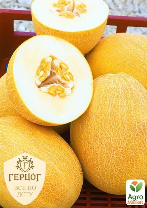 Диня "Герцог" "Колгоспниця" ТМ "Весна" 4г