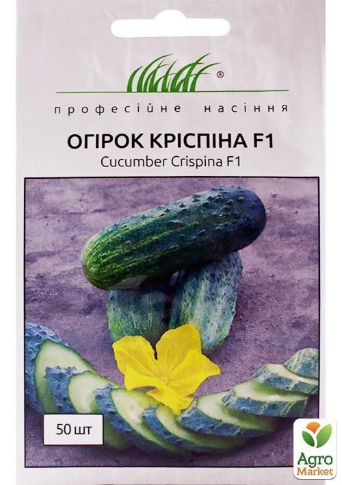 Огурец "Криспина F1" ТМ "Hem Zaden" 50шт