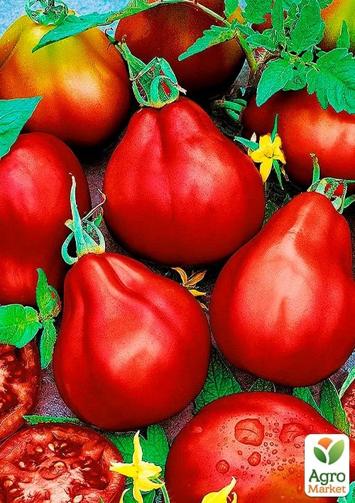 На развес Томат "Винный кувшин" ТМ "Весна" цена за 1г - фото 2