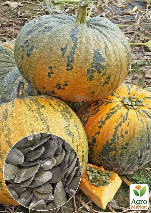На развес Тыква "Голосеменная" ТМ "Весна" цена за 10г