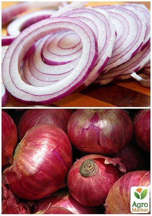 На развес Лук красный "Рубин" ТМ "Весна" цена за 5г - фото 3