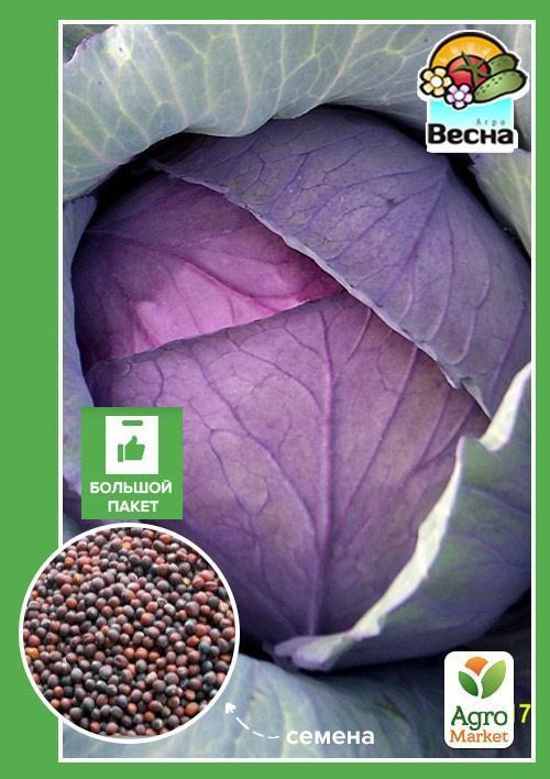 Капуста "Червоноголова" (Великий пакет) ТМ "Весна" 1г