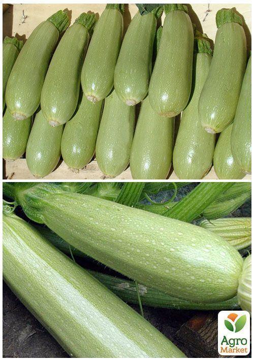 На развес Кабачок "Бьянка" ТМ "Весна" цена за 8г - фото 2