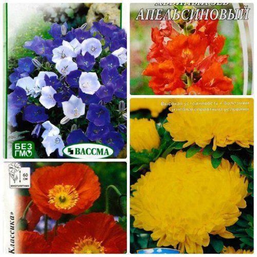 Комплект семян цветов "Превосходный сад" 5уп