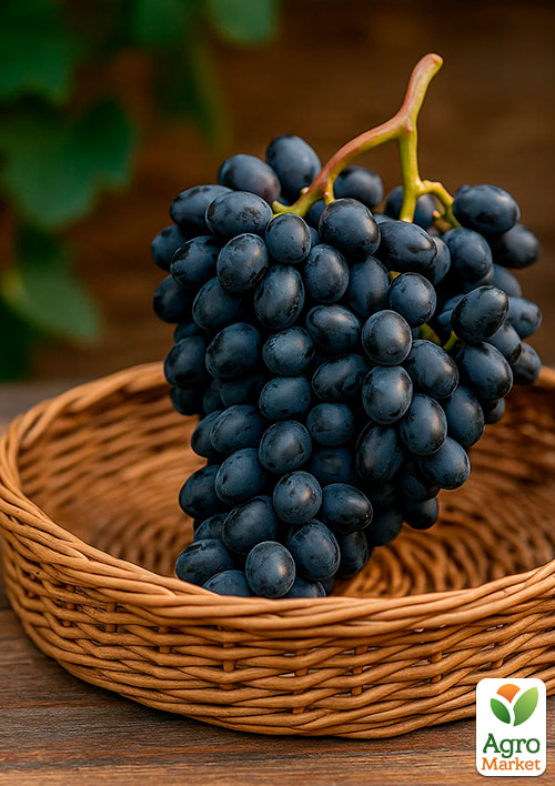 Виноград "Чарлі" - фото 4