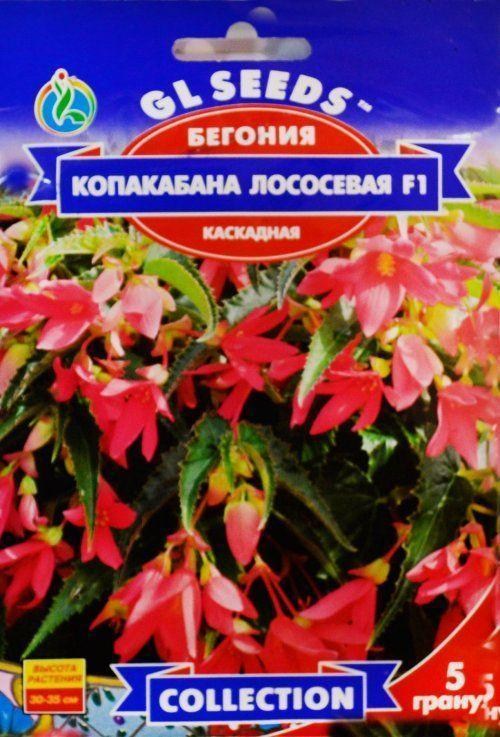 Бегонія каскадна "Копакабана лососева F1" ТМ "GL SEEDS" 5шт