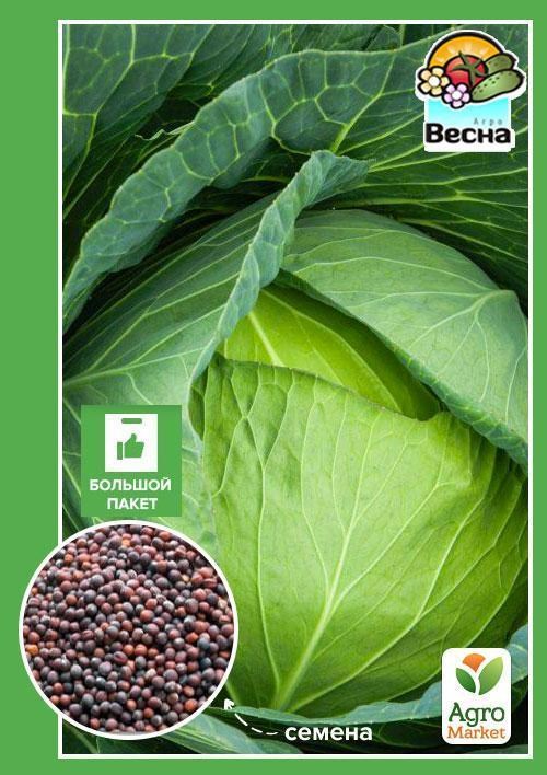 Капуста "Яна" (Великий пакет) ТМ "Весна" 3г