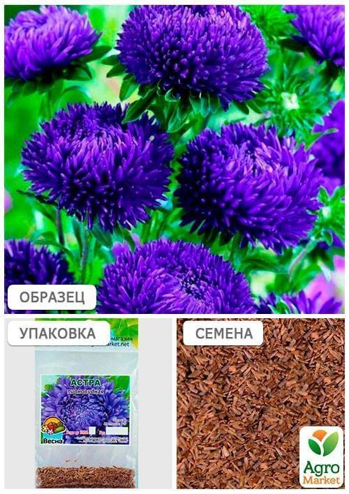 Айстра "Півоновидна синя" (Зипер) ТМ "Весна" 0,5г - фото 4