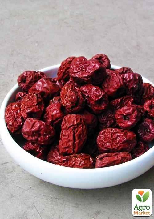 Зізіфус "Коктебель" (перехресне запилення садити по 2 саджанця різного ґатунку) - фото 6