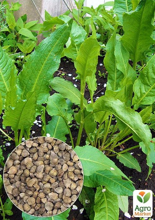 На развес Шпинат "Утеуша" ТМ "Весна" цена за 1.5г