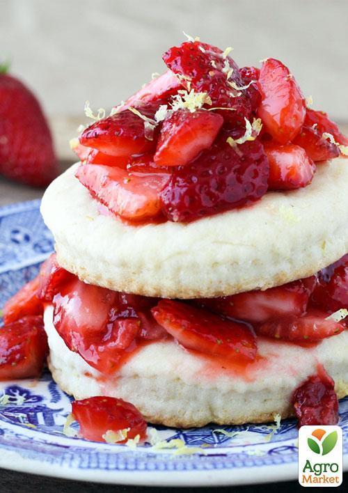 Ексклюзив! Полуниця яскраво-червона "Місіс Віллоу" (Mrs. Willow) (преміальний ремонтантний сорт, італійська селекція) - фото 10