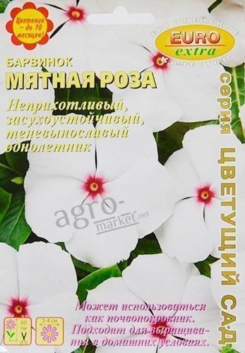 Барвінок "М'ятна троянда" ТМ "АЕЛІТА" ...