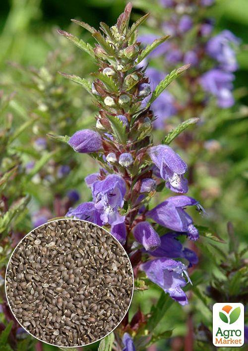 На развес Змееголовник "Медонос" ТМ "Весна" цена за 2г