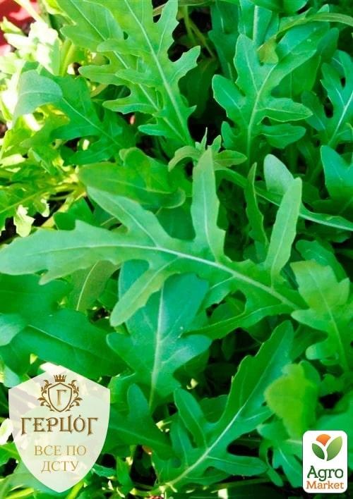 Руккола "Герцог" ТМ "Весна" 3г