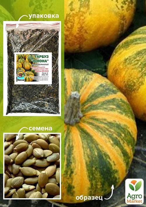Гарбуз "Юнона" ТМ "Весна" 500г