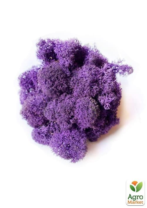 Норвезький мох стабілізований "Пурпуровий" 500 г