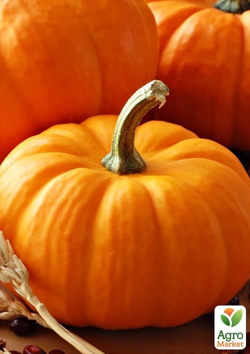 Гарбуз "Золотий центнер" (у банці) ТМ "Весна" 100г