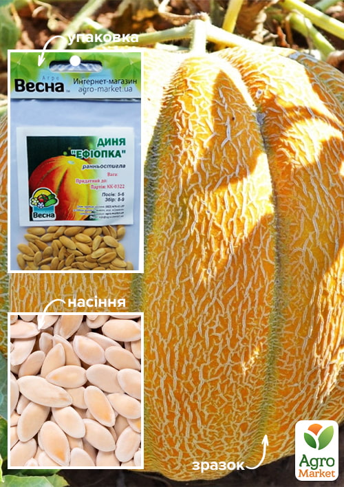 Диня "Ефіопка" (Зипер) ТМ "Весна" 3г