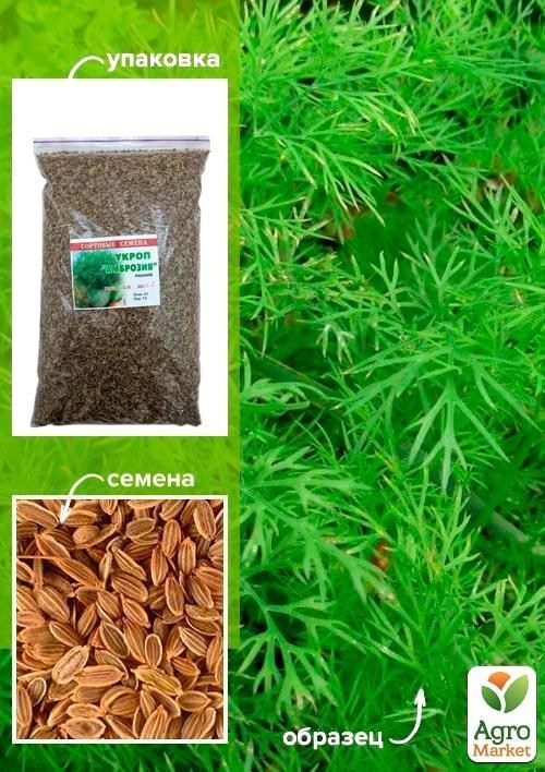 Кріп "Амброзія" ТМ "Весна" 500г