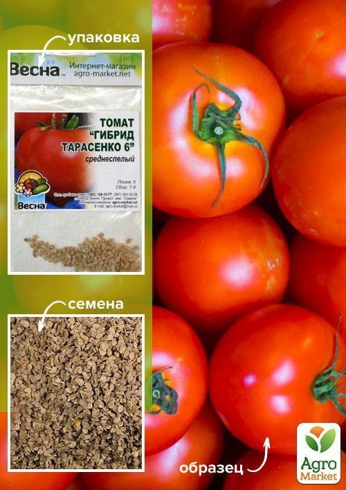 Томат "Гібрид Тарасенко 6" (Зипер) ТМ "Весна" 0.5г