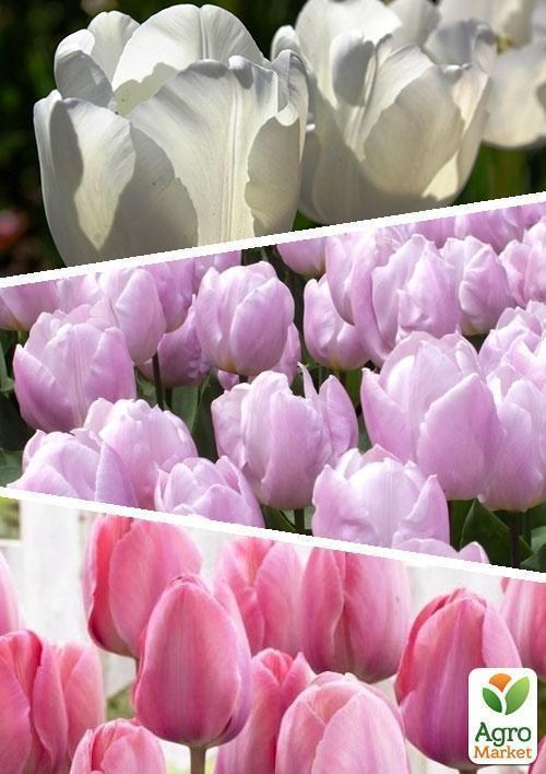 Смесь тюльпанов "Пастель Микс" 9шт