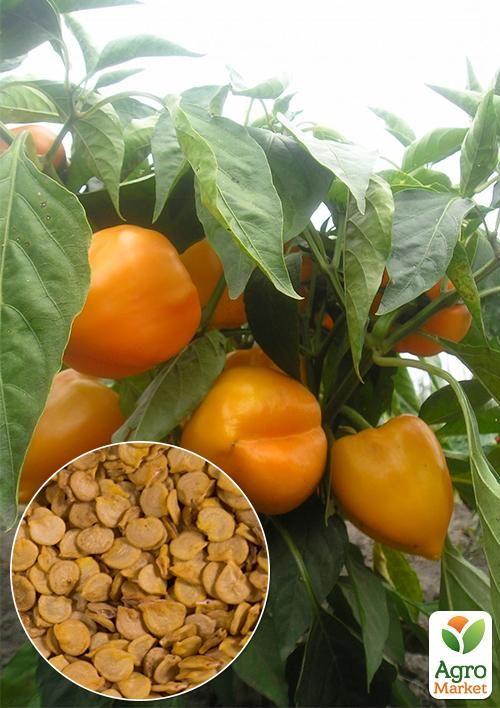 На вагу Перець "Золотий фазан" ТМ "Весна" ціна за 1г