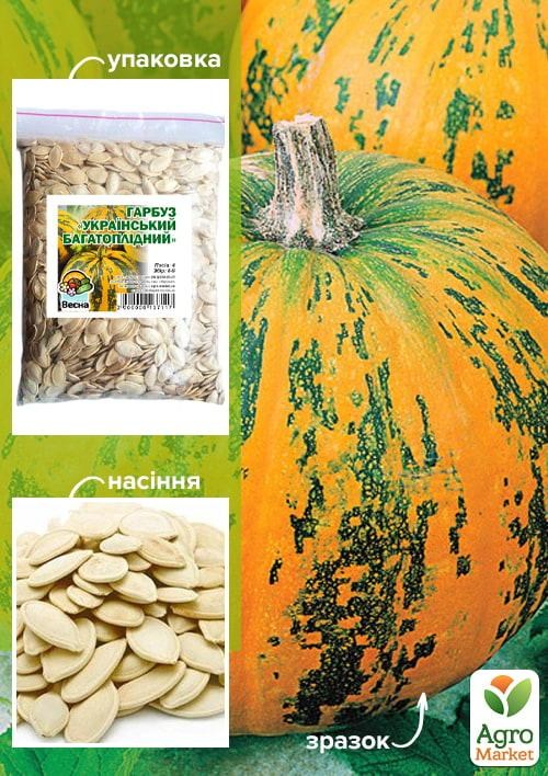 Тыква "Украинская многоплодная" ТМ "Весна" 500г